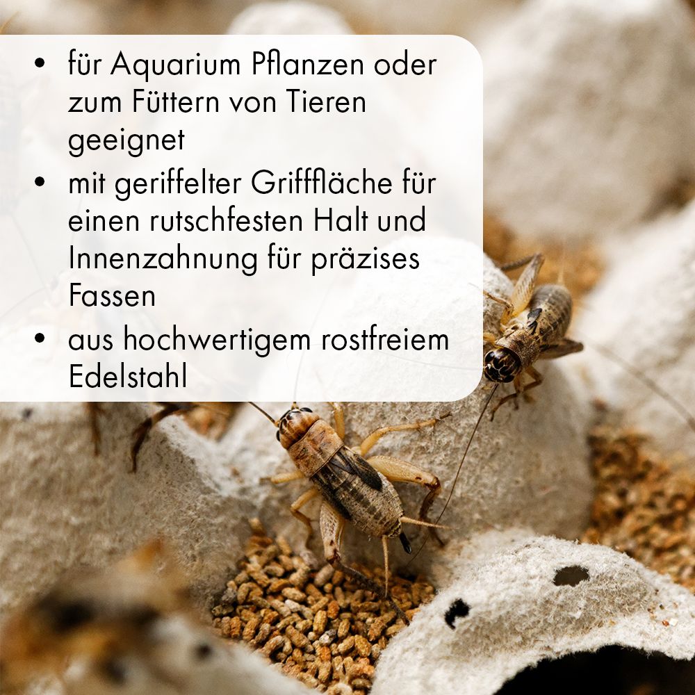 Edelstahl Futterpinzetten - abgewinkelt